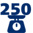 Плотность 250
