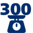 Плотность 300